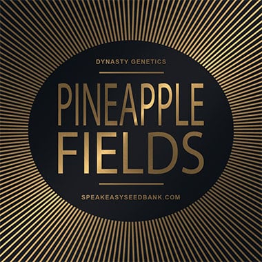 Speakeasy presents Pineapple Fields