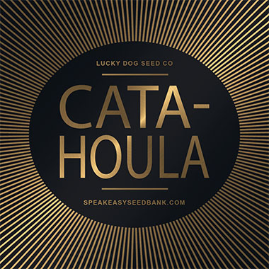 Speakeasy presents Catahoula