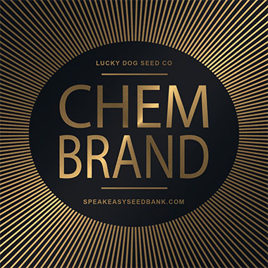 Speakeasy presents Chem Brand
