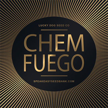 Speakeasy presents Chem Fuego