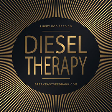 Speakeasy presents Diesel Therapy