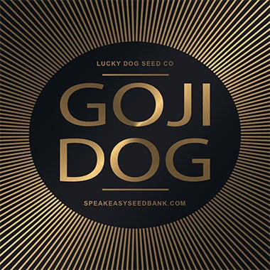 Speakeasy presents Goji Dog