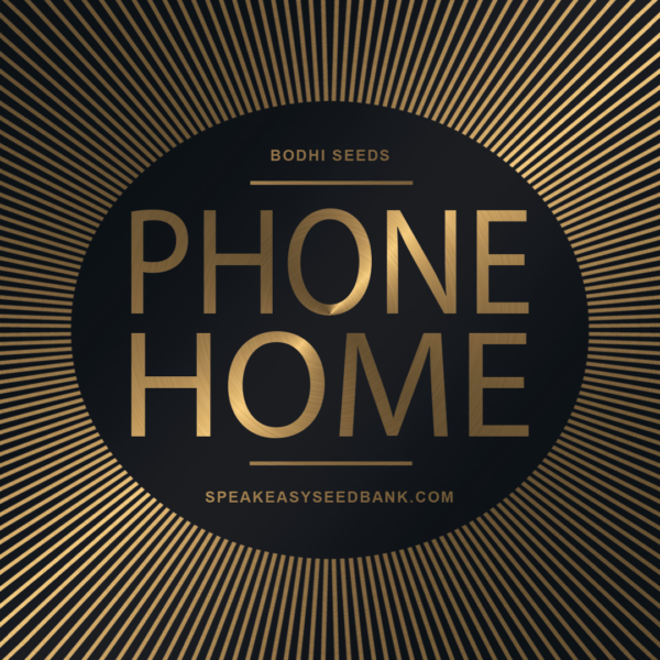 Bodhi Seeds presents Phone Home