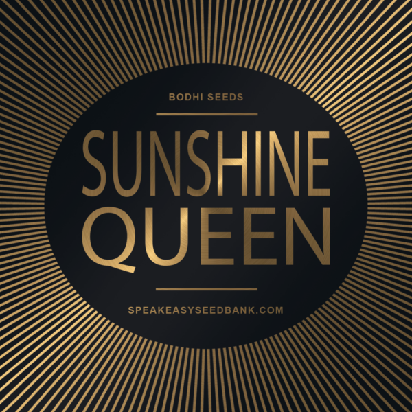 Bodhi Seeds presents Sunshine Queen