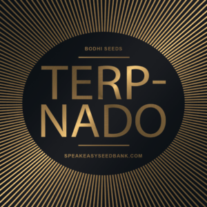 Bodhi Seds presents Terpnado