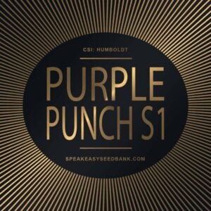 Speakeasy presents Purple Punch S1