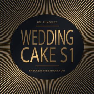Speakeasy presents Wedding Cake S1