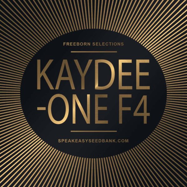 Speakeasy presents KayDeeOne F4