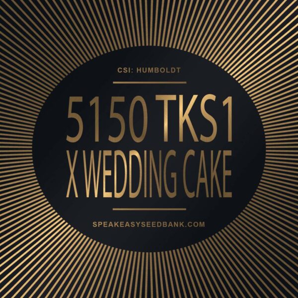 Speakeasy presents 5150 TK x Wedding Cake