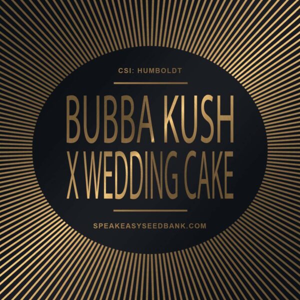 Speakeasy presents Bubba Kush x Wedding Cake
