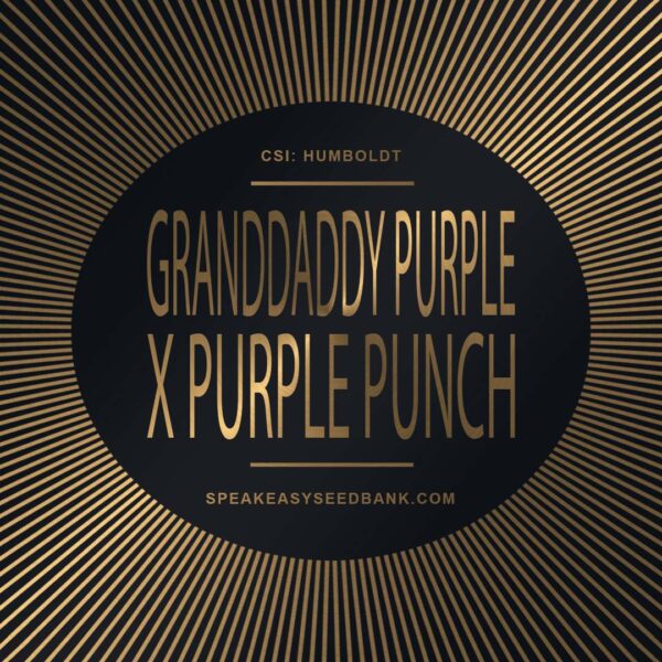 Speakeasy presents Grandaddy Purple x Purple Punch