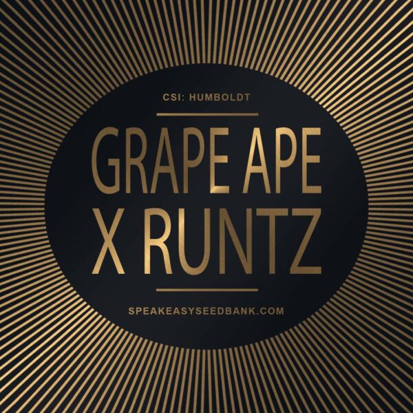 Speakeasy presents Grape Ape x Runtz
