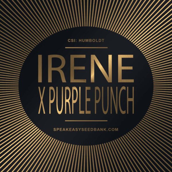 Speakeasy presents Irene Kush x Purple Punch
