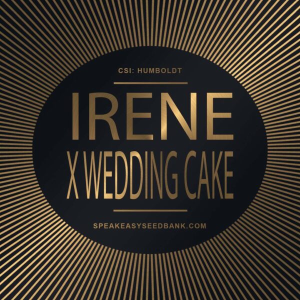 Speakeasy presents Irene Kush x Wedding Cake