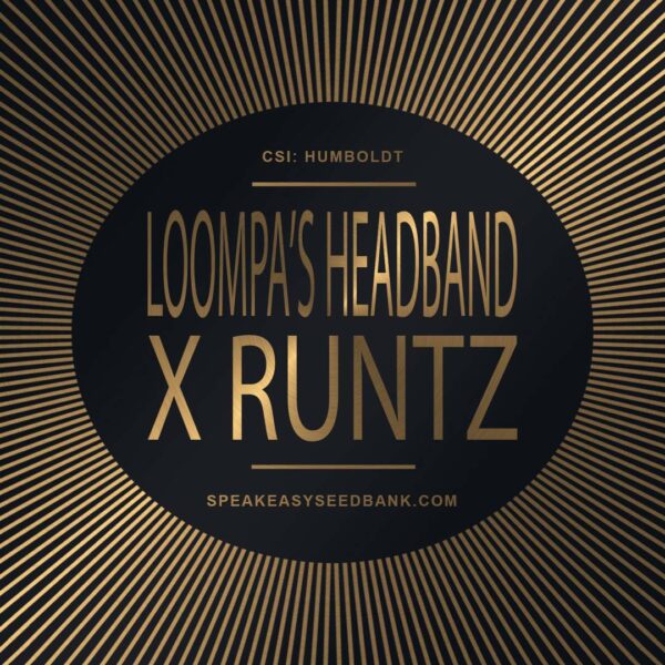 Speakeasy presents Loompa's Headband x Runtz