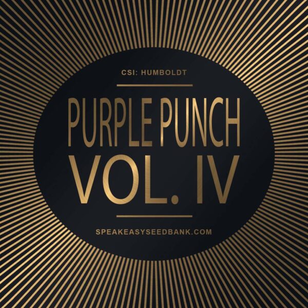 CSI Humboldt - Purple Punch Volume 4 - Speakeasy Seed Bank