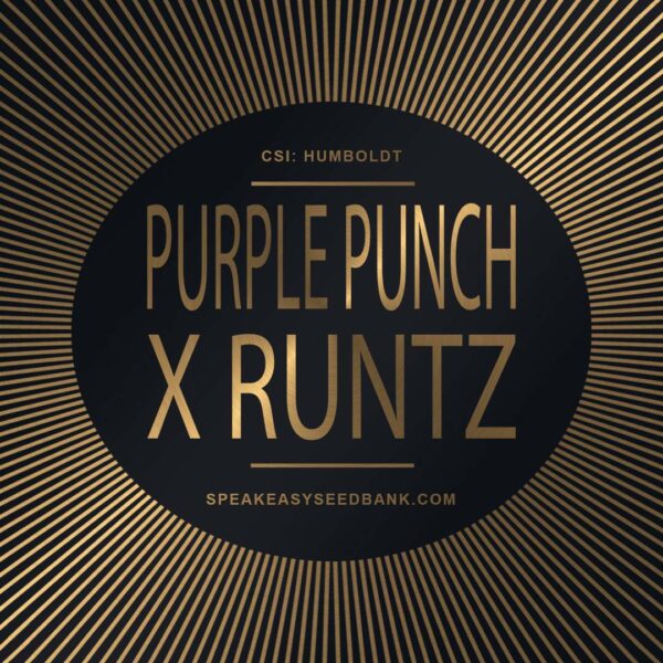 Speakeasy presents Purple Punch x Runtz