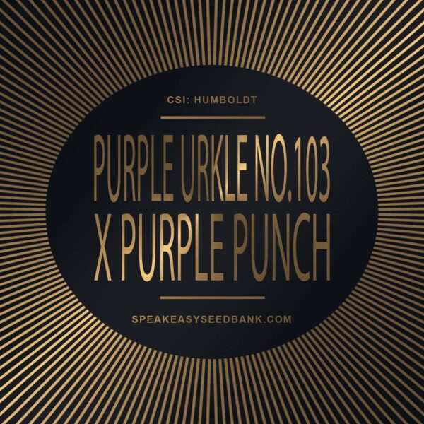 Speakeasy presents Purple Urkle #103 x Purple Punch