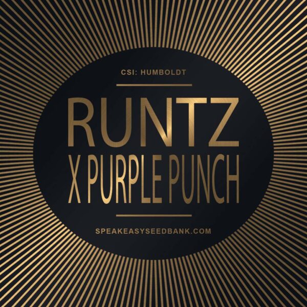 Speakeasy presents Runtz x Purple Punch