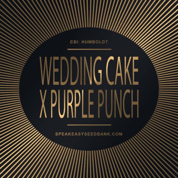 Speakeasy presents Wedding Cake x Purple Punch