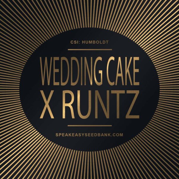 Speakeasy presents Wedding Cake x Runtz