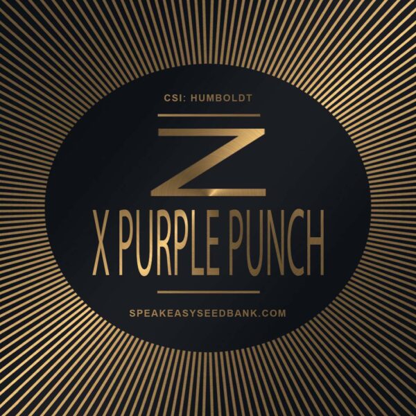 Speakeasy presents Z x Purple Punch