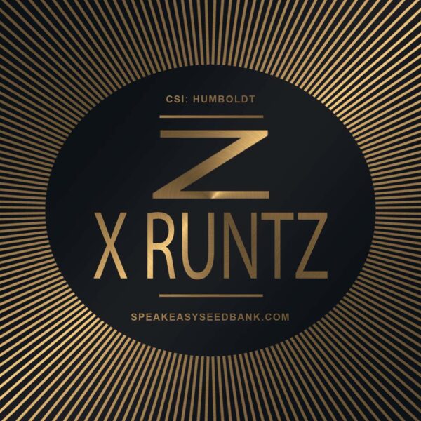 Speakeasy presents Z x Runtz by CSI Humboldt