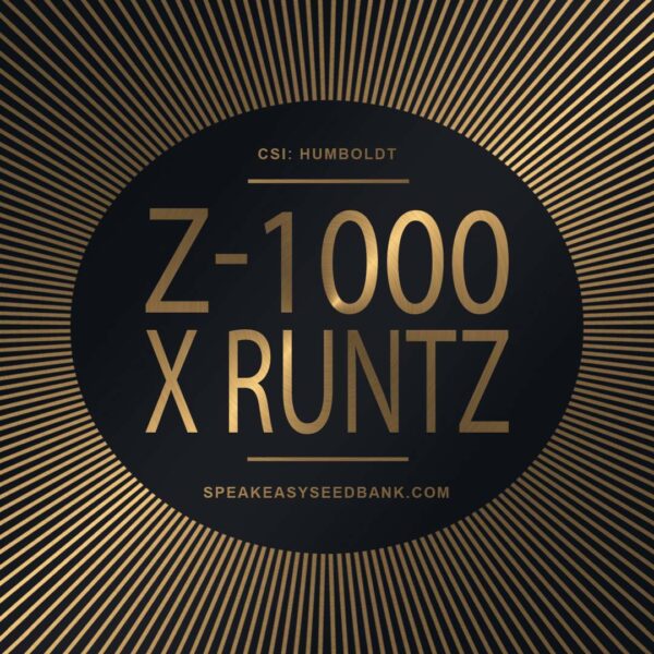 Speakeasy presents Z-1000 x Runtz
