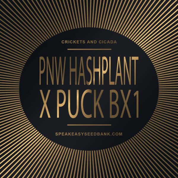 Speakeasy presents PNW Hashplant x Puck BC1