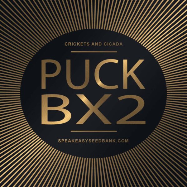 Speakeasy presents Puck Backcross 2
