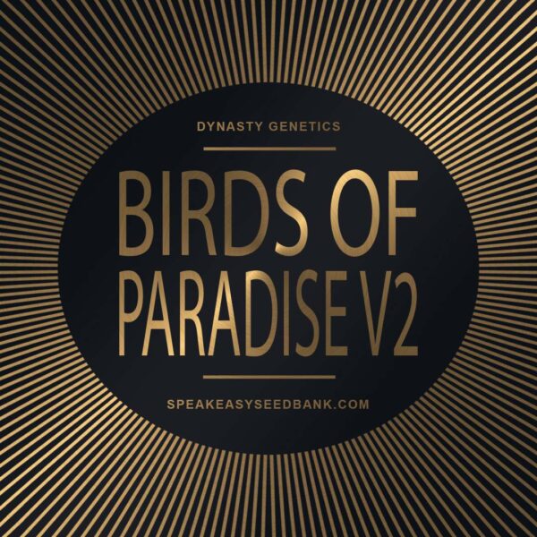 Speakeasy presents Birds of Paradise V2