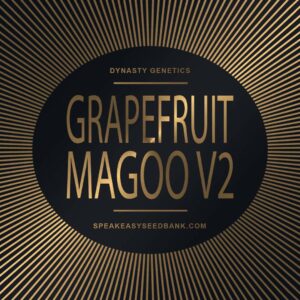 Speakeasy presents Grapefruit Magoo V2
