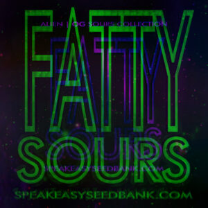 Speakeasy presents Fatty Sours