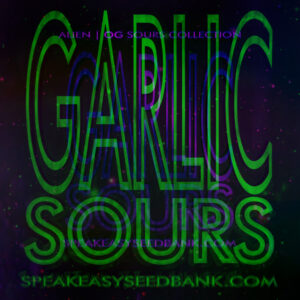 Speakeasy presents Garlic Sours