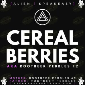 Speakeasy presents Cereal Berries