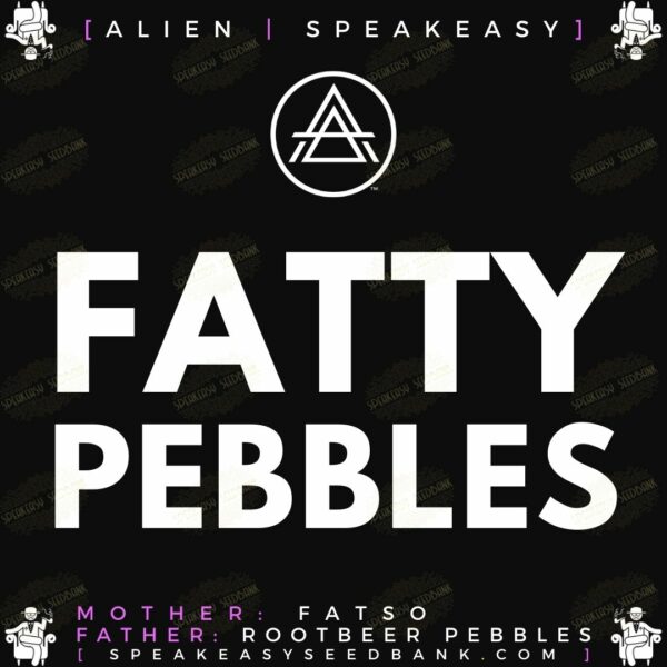 Speakeasy presents Fatty Pebbles