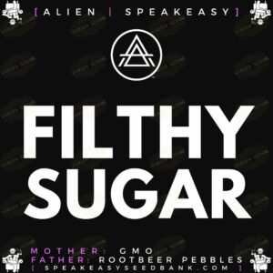 Speakeasy presents Filthy Sugar