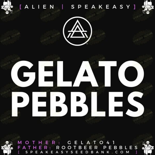 Alien Genetics presents Gelato Pebbles