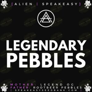 Speakeasy presents Legendary Pebbles