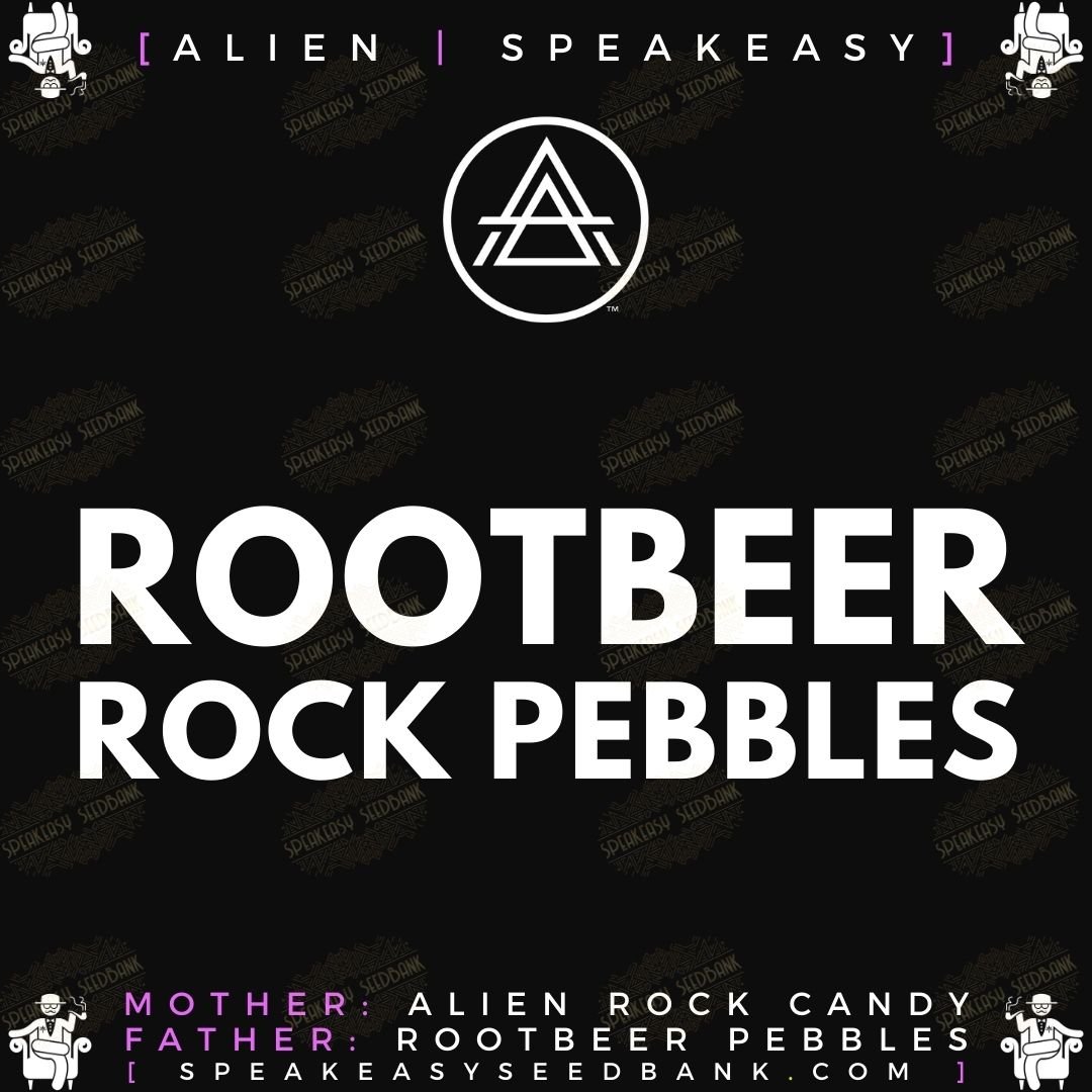 Speakeasy presents Rootbeer Rock Pebbles