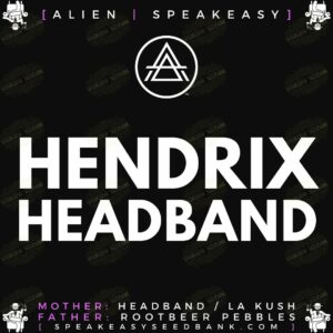 Speakeasy presents Hendrix Headband