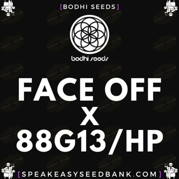 Face Off x 88G13HP - Bodhi Seeds