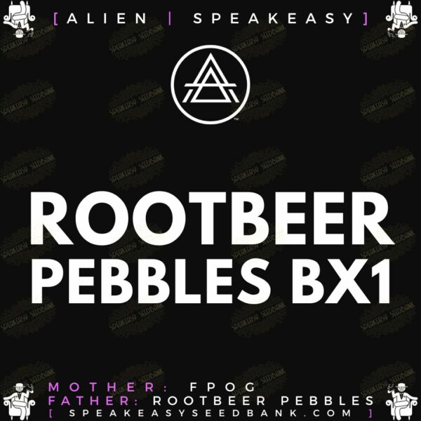 Speakeasy presents Rootbeer Pebbles BX1