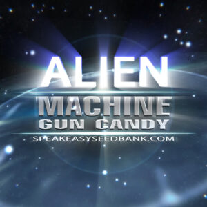 Alien Genetics presents Machine Gun Candy