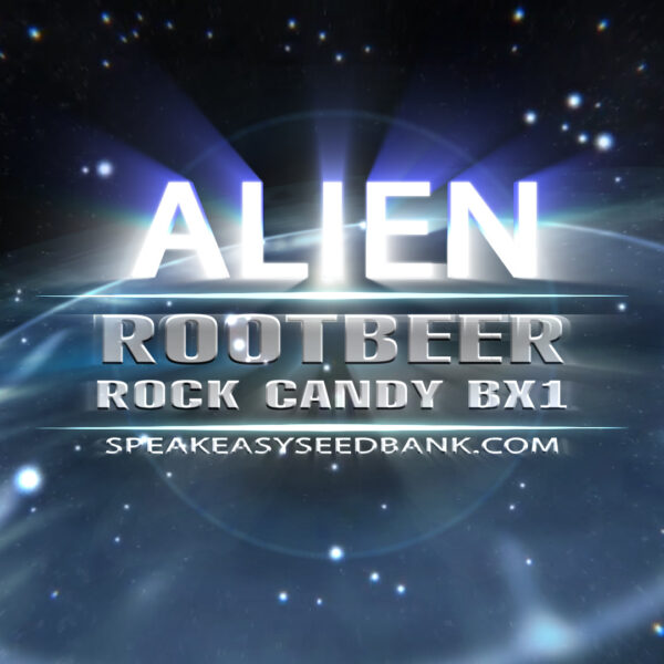 Alien Genetics presents Rootbeer Rock Candy BX1