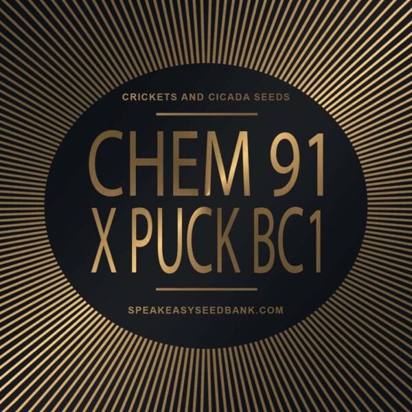 Speakeasy presents Chemdog 91 x Puck BC1