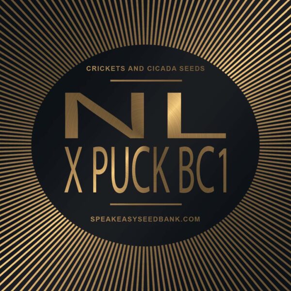 Speakeasy presents NL x Puck BC1