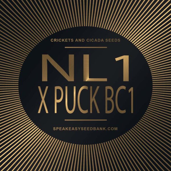 Speakeasy presents NL1 x Puck BC1