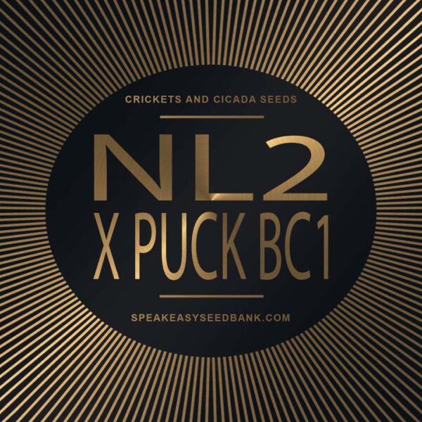 Speakeasy presents NL2 x Puck BC1