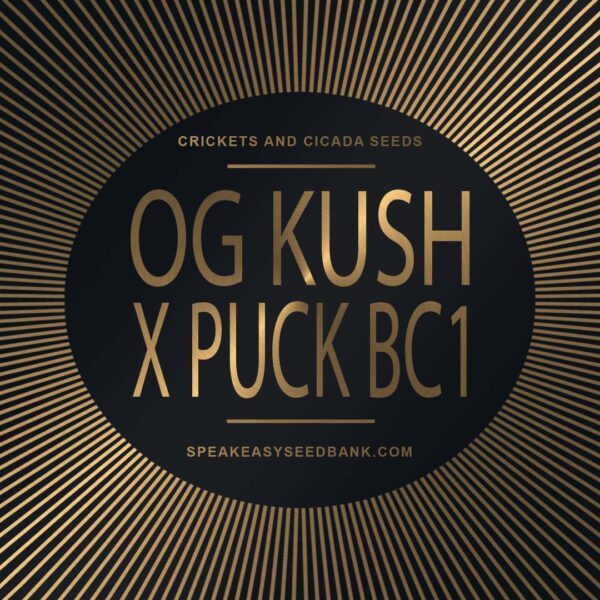 Speakeasy presents OG Kush x Puck BC1